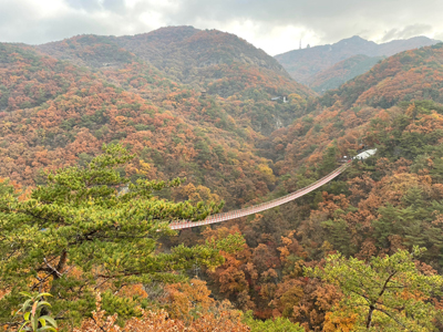 출렁다리